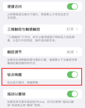 蒙阴苹果授权维修站分享iPhone轻点无法唤醒怎么办 