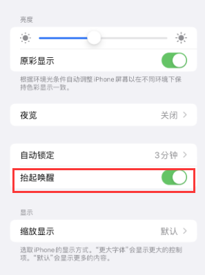 蒙阴苹果授权维修站分享iPhone轻点无法唤醒怎么办