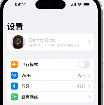 蒙阴appleID维修服务iPhone设置中Apple ID显示为灰色无法使用 