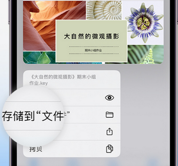 蒙阴apple维修中心分享iPhone文件应用中存储和找到下载文件