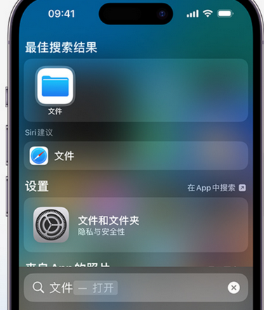 蒙阴apple维修中心分享iPhone文件应用中存储和找到下载文件