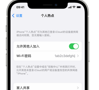 蒙阴apple服务站点分享iPhone上个人热点丢失了怎么办 