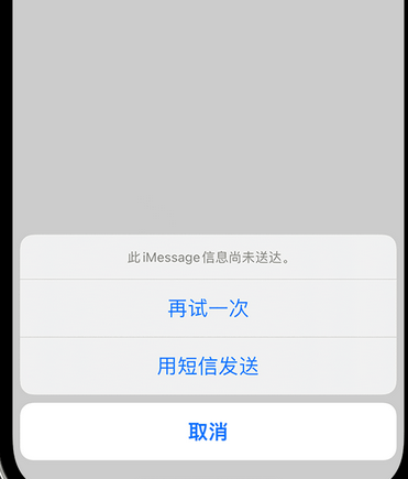 蒙阴apple维修iPhone上无法正常发送iMessage信息