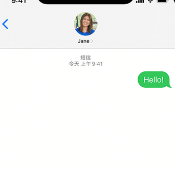 蒙阴apple维修iPhone上无法正常发送iMessage信息