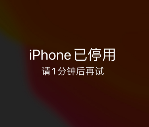 蒙阴苹果手机维修分享:iPhone 显示“不可用”或“已停用”怎么办？还能保留数据吗？ 