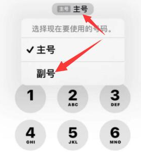 蒙阴苹果14维修店分享iPhone 14 Pro Max使用副卡打电话的方法 