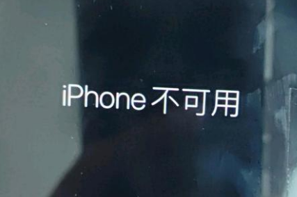 蒙阴苹果服务网点分享锁屏界面显示“iPhone 不可用”如何解决 