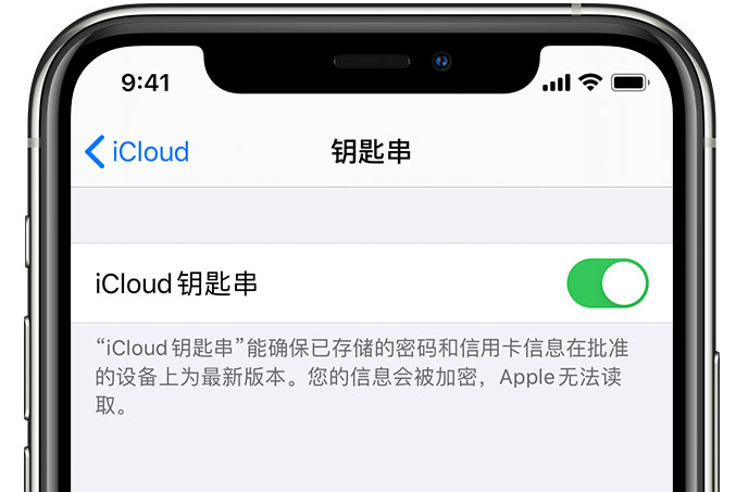 蒙阴苹果手机维修分享在 iPhone 上开启 iCloud 钥匙串之后会储存哪些信息 