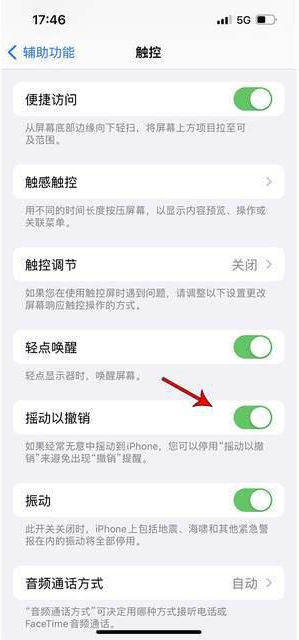 蒙阴苹果手机维修分享iPhone手机如何设置摇一摇删除文字 