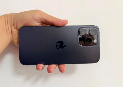 蒙阴苹果维修点分享iPhone 14 Pro Max黑屏少见故障盘点 